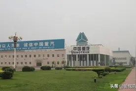 在槐荫这一天 济南市委书记去了这些地方图片