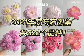 鲜花分享｜芍药品种图鉴图片