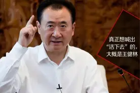 “资产贱卖”之后，王健林“商业的基本逻辑”跑赢了吗？图片