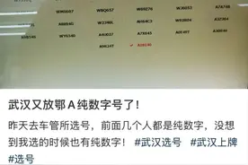 鄂A纯数字号牌大量发放？交警回应图片