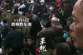 秋收过后贵州农村斗牛活动，氛围感堪比国际大赛图片