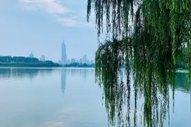 唐诗里的南京，竟然这么美图片