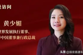 投资内地，新世界两次“力排众议”图片