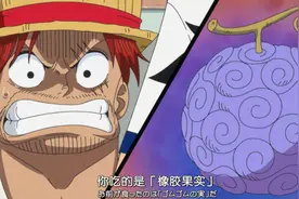 五老星提到的果实，盲猜是橡胶果实，曾用名可能为「巨大果实」？图片