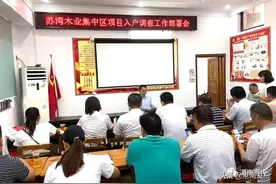 【难点问题书记一线办】港南土地和房屋征收服务中心党组书记：深入一线查问题 沉在一线破难点 干在一线抓落实图片
