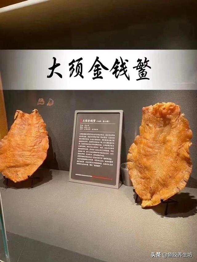 水晶花胶液有毒吗 2026年水晶花胶液有毒吗能吃吗 水晶花胶液有毒吗 2026年水晶花胶液有毒吗能吃吗