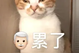 一盔一带 | 驾乘摩托车、电动自行车的你一定要关注这个“头顶大事”......图片