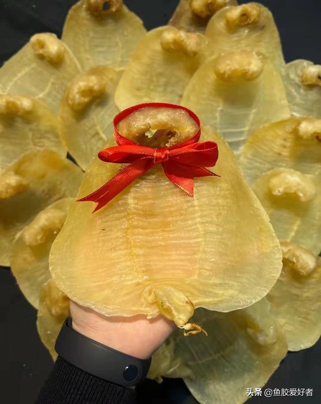 越南买花胶会有假吗 2026年越南花胶最不值钱的原因