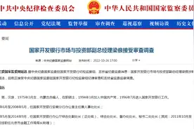 新上任半年！国家开发银行市场与投资部副总经理梁俍被调查图片