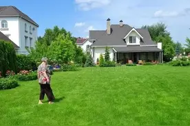 邻居喜棚堵住家门口，父亲要给拆掉，母亲说，大喜日子别让他出丑图片