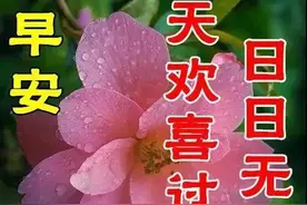 今天是个好日子农历二月初八，祝愿咱们一路顺风顺水，一路发财！图片