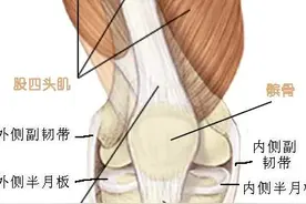 半月板损伤一定要手术吗？疼痛科普系列杨志强图片