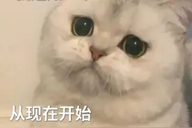 抖音表情包：从现在开始，找我聊天要收费了图片