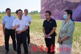 罗山：书记县长解难题 政企有约谋发展图片