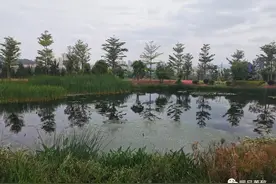 江山如此多娇，尽入诗词笑傲图片