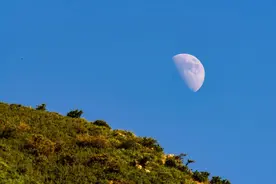 《唐诗三百首》中最美的10首诗，诗情画意，人间绝美图片