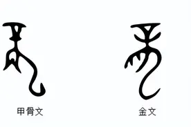 说文解字：十二生肖之—“龙”图片