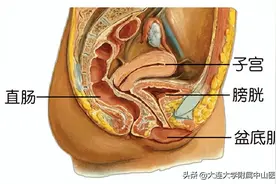 【门诊推介】医院盆底康复中心成立啦！图片