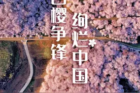 三万里中国赏樱花地图，到底有多好看？图片