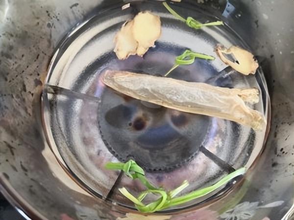 红菇炖花胶鸡 2026年红菇炖花胶鸡汤的做法