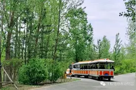 坐着小火车，观萌宠、赏风景～来这里“花式”过六一图片