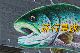 英国的灵魂，为什么是炸鱼薯条图片