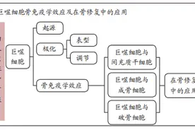 巨噬细胞的骨免疫学效应图片