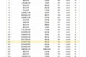 第1梯队！武汉晴川学院计算机类竞赛成绩居全国本科高校前列！图片