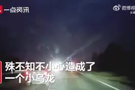 乌龙了！萌娃开心大喊警察叔叔下一秒爸爸被查图片