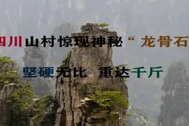 四川山村惊现神秘“龙骨石”，质地形状如同龙骨，专家认为不简单图片