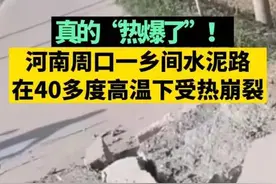 有史以来最高温！危险警告图片