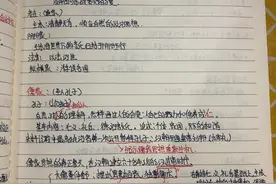 中国通史 第一集 中华道路图片