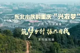 筑梦乡村·振兴有我 | 东北小伙的重庆“兴农梦”图片