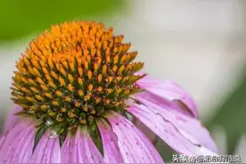 坚持这25个小方法，让自己慢慢变优秀图片