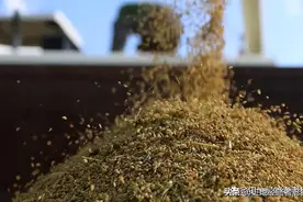 北方养活南方？我国五大粮食净调出省份只有一个属于南方地区图片