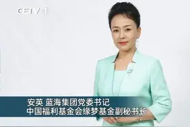 南有铁娘子董明珠，北有铿锵玫瑰安英，新时代女性不一般图片