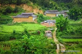 我们一家和邻居八年没有说话，半夜听到邻居的哭声，母亲冲了出去图片