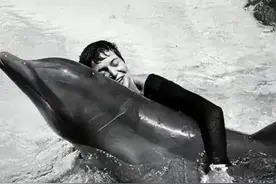 1963年美国进行秘密实验 导致海豚爱上女子 在分手后海豚选择自杀图片
