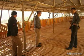 农民养羊的入门知识，从建羊圈到买羊图片