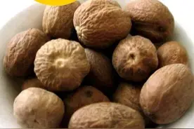 调料中的草蔻、白豆蔻、肉蔻是哪些植物的果实图片
