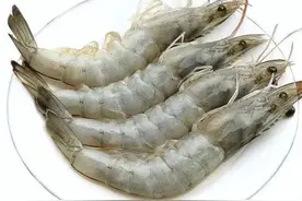虾之大类，非侠为盗图片
