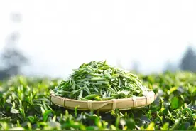 全国哪些春茶“最好喝”？经过评比这4种茶不错，有你家乡的吗？图片