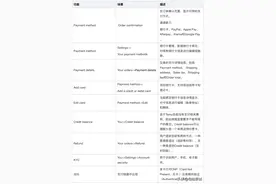 拼多多跨境电商TEMU产品支付功能探索图片