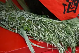 端午节挂艾草有讲究，老人说3类家庭最好不要挂，早看早了解图片