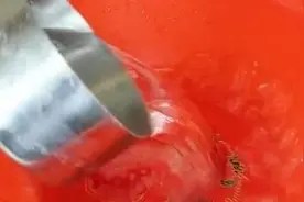 地板焕然一新，神奇水中加点它图片