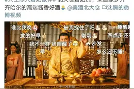 沈腾，为家乡名星北大仓君妃酒代言图片
