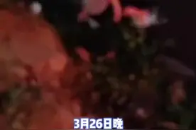 父子公园开玩具车失误翻入江中 ，休假民警循声而去跳水救2人图片