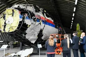 2014年马航MH17空难头号嫌犯！俄知名军事部落客斯特列科夫被捕图片