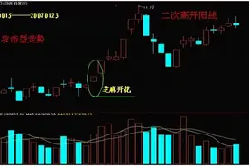 经典K线图解（一）图片