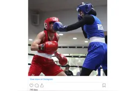 创造历史 Tina Rahimi成首位代表澳洲出战穆斯林女拳击手图片